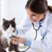 Ветеринарні клініки