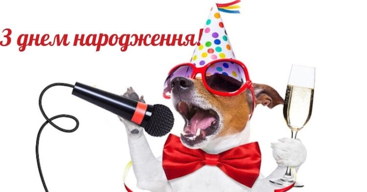 прикольні привітання з днем народження