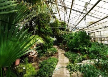 Ботанічний сад Полтавського педуніверситету