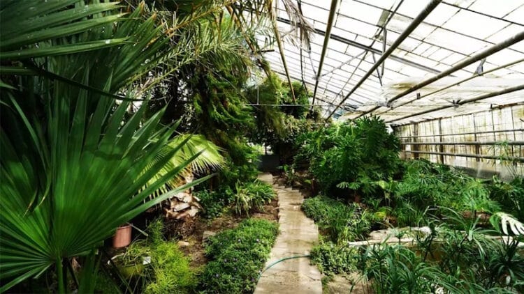 Ботанічний сад Полтавського педуніверситету