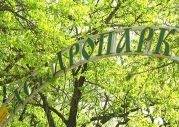 Полтавський міський парк Дендропарк