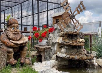 Еко-парк КОВАЛІВКА