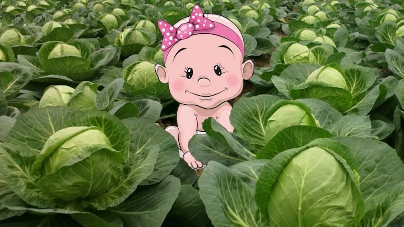 привітання з новонародженим