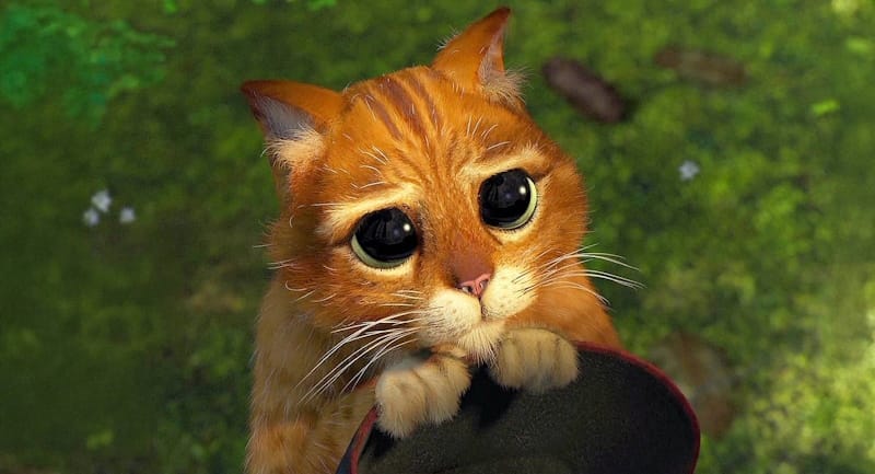 привітання з днем народження з запізненням