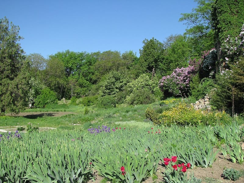 Ботанічний сад Полтавського педуніверситету