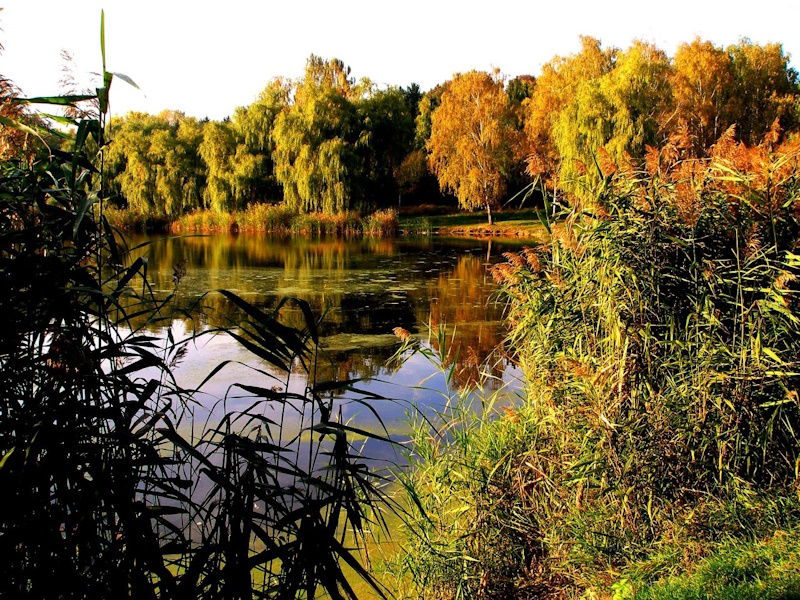 Полтавський міський парк Дендропарк