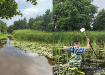 На Полтавщині планують розчистити замулену річку Удай