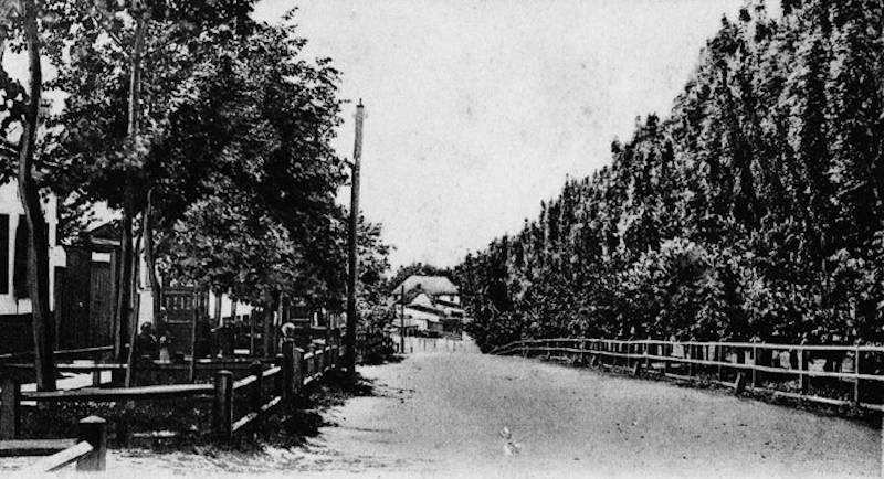 Правий Поділ у Полтаві