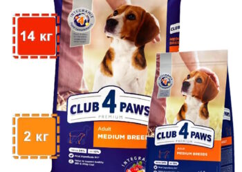 Улюбленець і господар: зміцнюємо імунітет