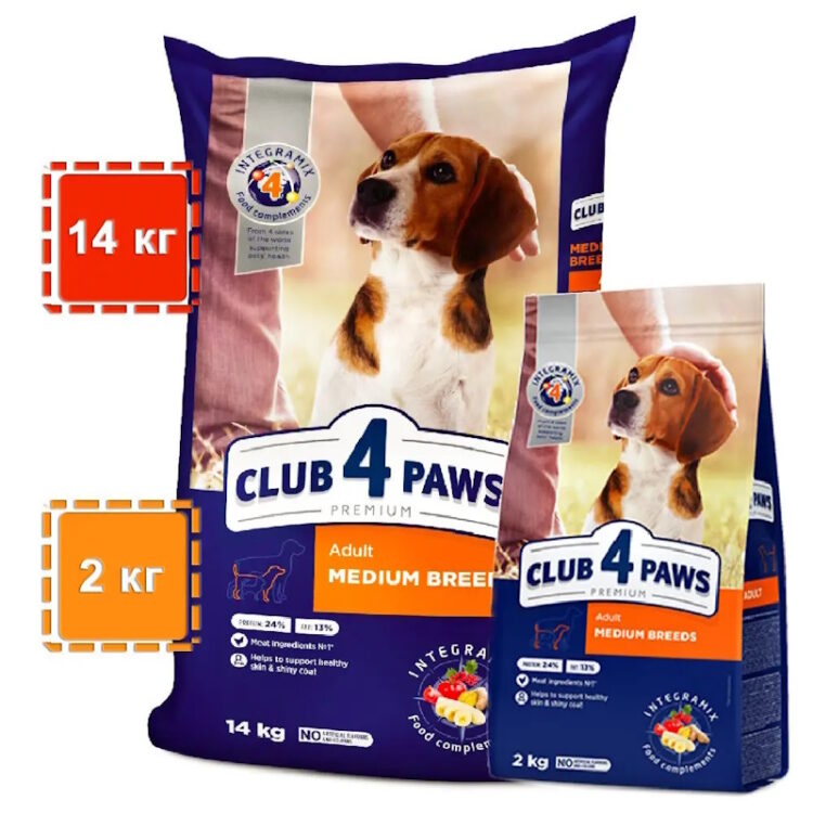 Улюбленець і господар: зміцнюємо імунітет