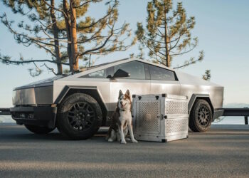 Tesla зимове обслуговування Київ