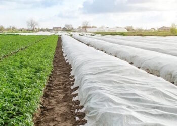 Агроволокно чи агротканина