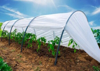 парники из агроволокна