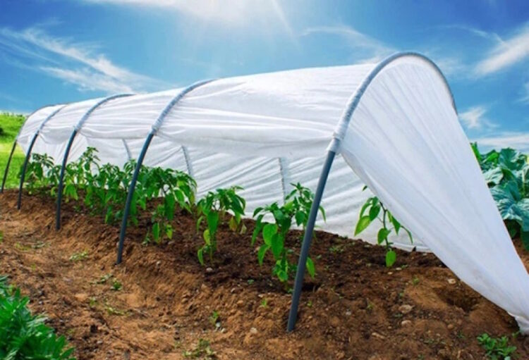 парники из агроволокна