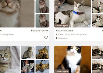 Гібридна сила «звичайної» мурки