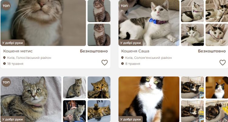 Гібридна сила «звичайної» мурки