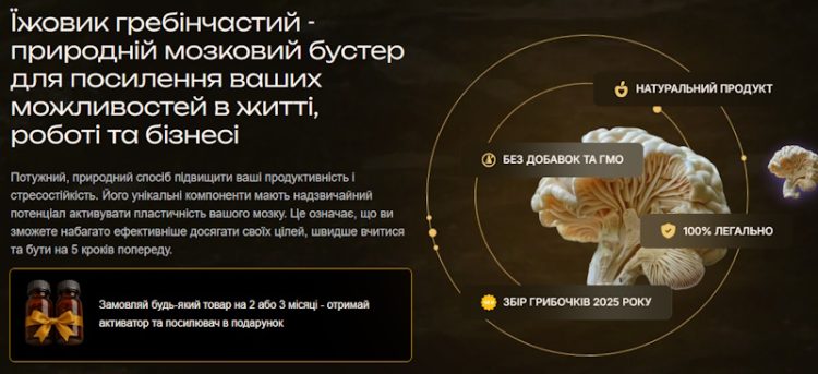 Ежовик гребінчастий